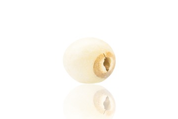 _ZHU4185(0)