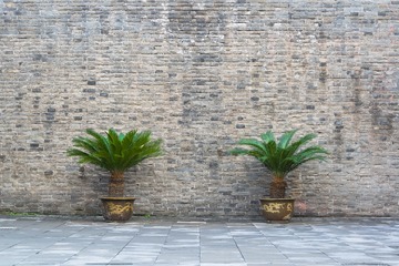 _ZHU4761