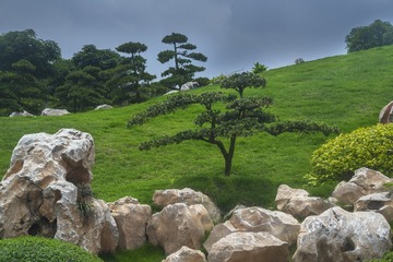 _ZHU7195