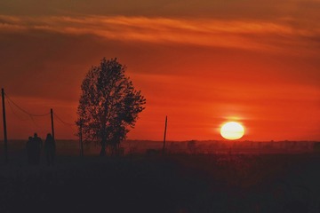 0A841917-0E55-4737-80B4-A5B707FF1FB8/L0/001
