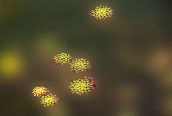 1000025947