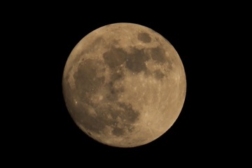 2622F4CB-71A3-411A-BF48-15F93E734093/L0/001