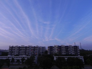 DSCN7051.JPG