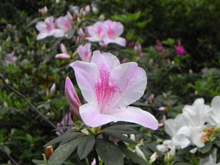 DSCN8149.JPG