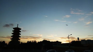 910202