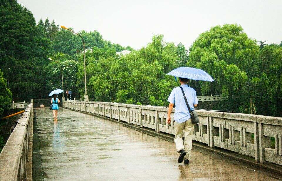 烟雨人匆匆<br />
