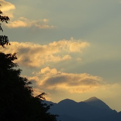 16731813-80BD-458E-ABD8-4BFDE48BF47B/L0/001