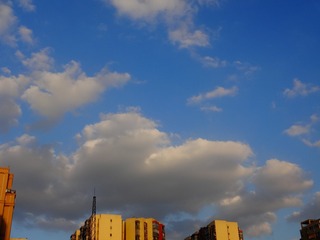 620155