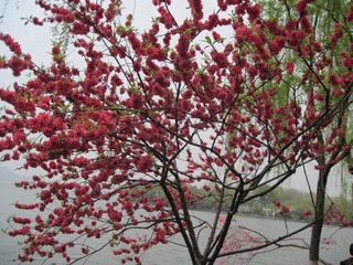 IMG_4789.jpg