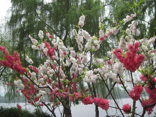 IMG_4869.jpg
