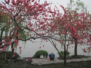 IMG_4880.jpg