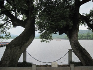 IMG_2591.jpg