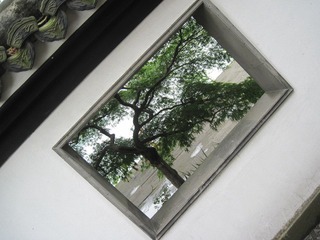 IMG_2627.jpg