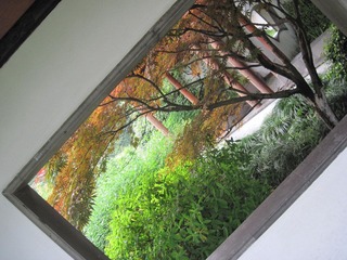 IMG_2633.jpg