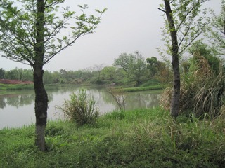 IMG_4977.jpg