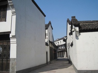 IMG_2394.jpg