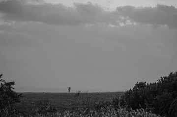 L1002920