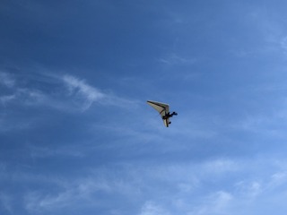 29116