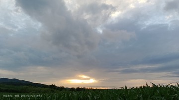 1000030790