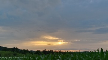 1000030791