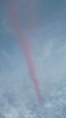 1000034502