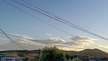 1000034262