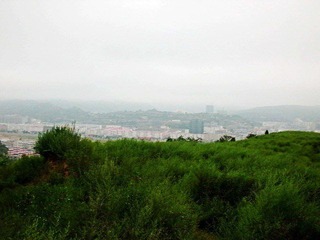 CIMG4719_conew1.JPG
