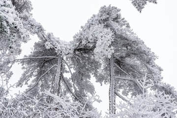 7277D739-D381-4DF1-B497-39076E209745/L0/001