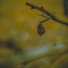 _DSC6940_148