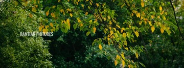 E08C91B7-36D5-46FA-B970-1BA3C9D94B73/L0/001