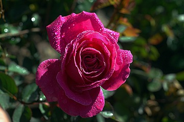 F6D05E22-EA8C-498A-AE29-730DCDF49783/L0/001