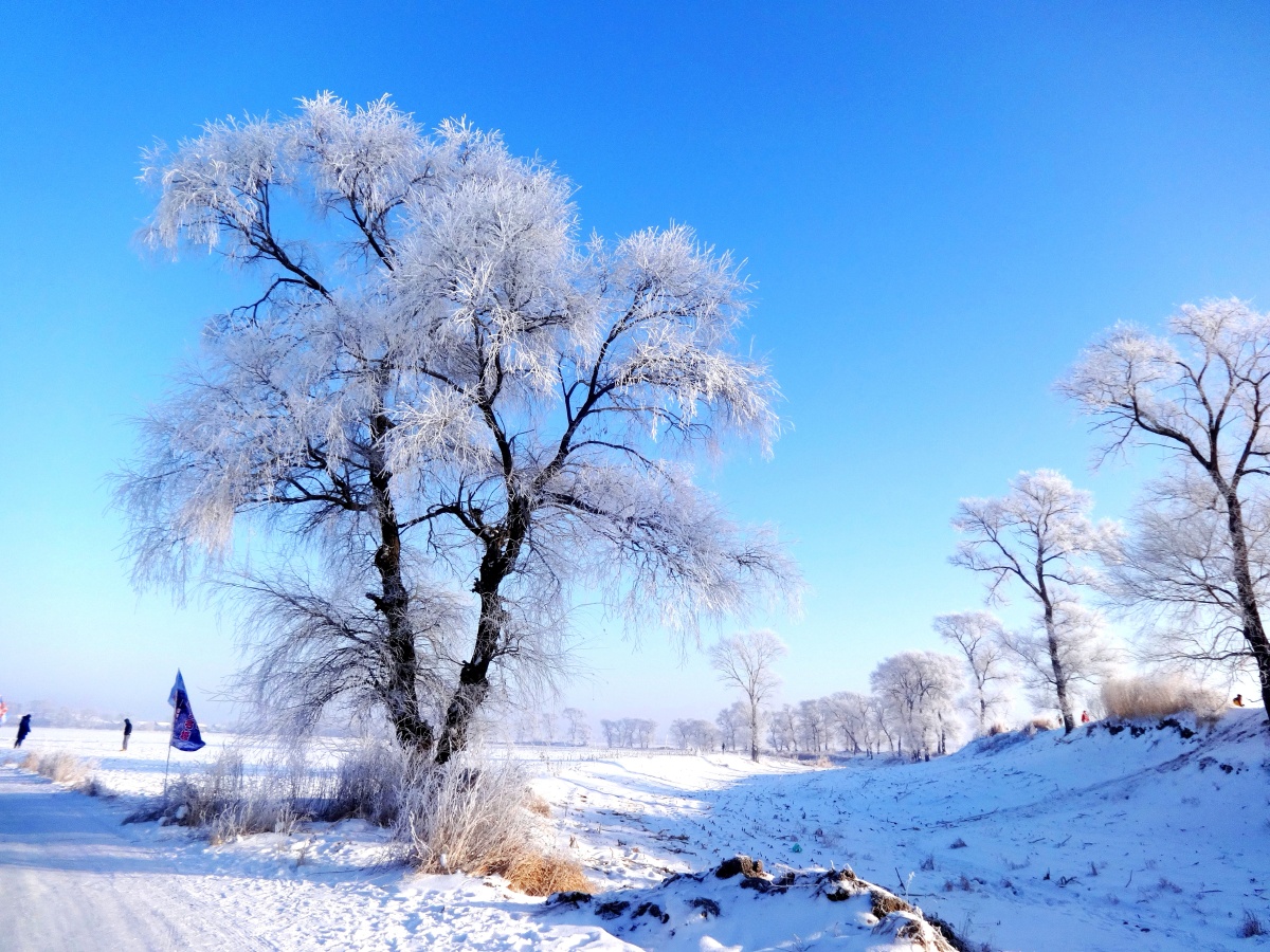 冰天雪地吉林雾凇岛@北国风光,雾凇妖娆! - mk2021 - 图虫