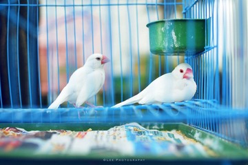 DSC_1766_psed.jpg