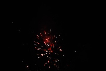 1000061741