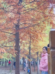 881ECC0C-899A-4262-9A3F-AD4EB9F0A316/L0/001