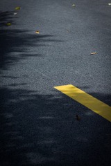 1000013529