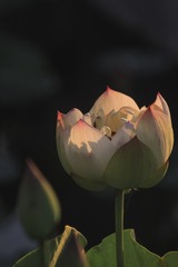 167797