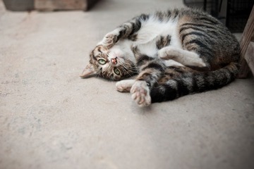 20120402-DSC_0022.jpg
