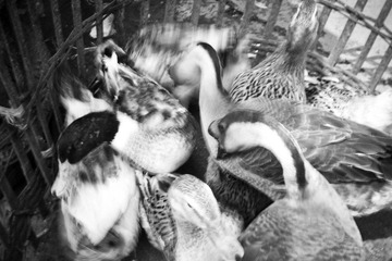 20120402-DSC_0037.jpg