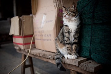 20120402-DSC_0014.jpg