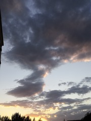 874264