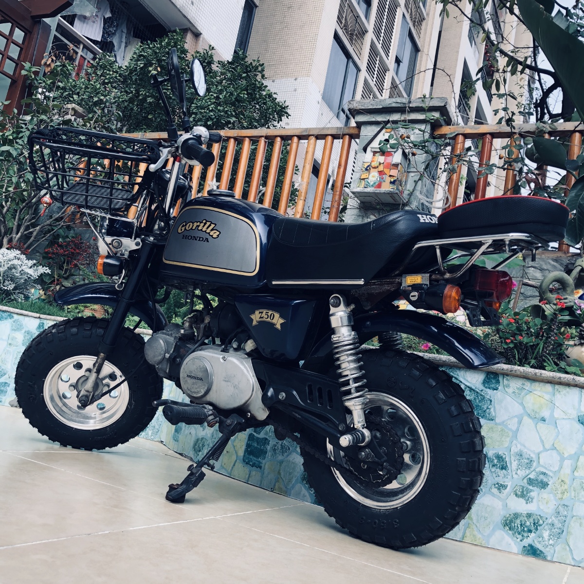 1992年产本田小猴子系列猩猩它的年纪应该比你大吧