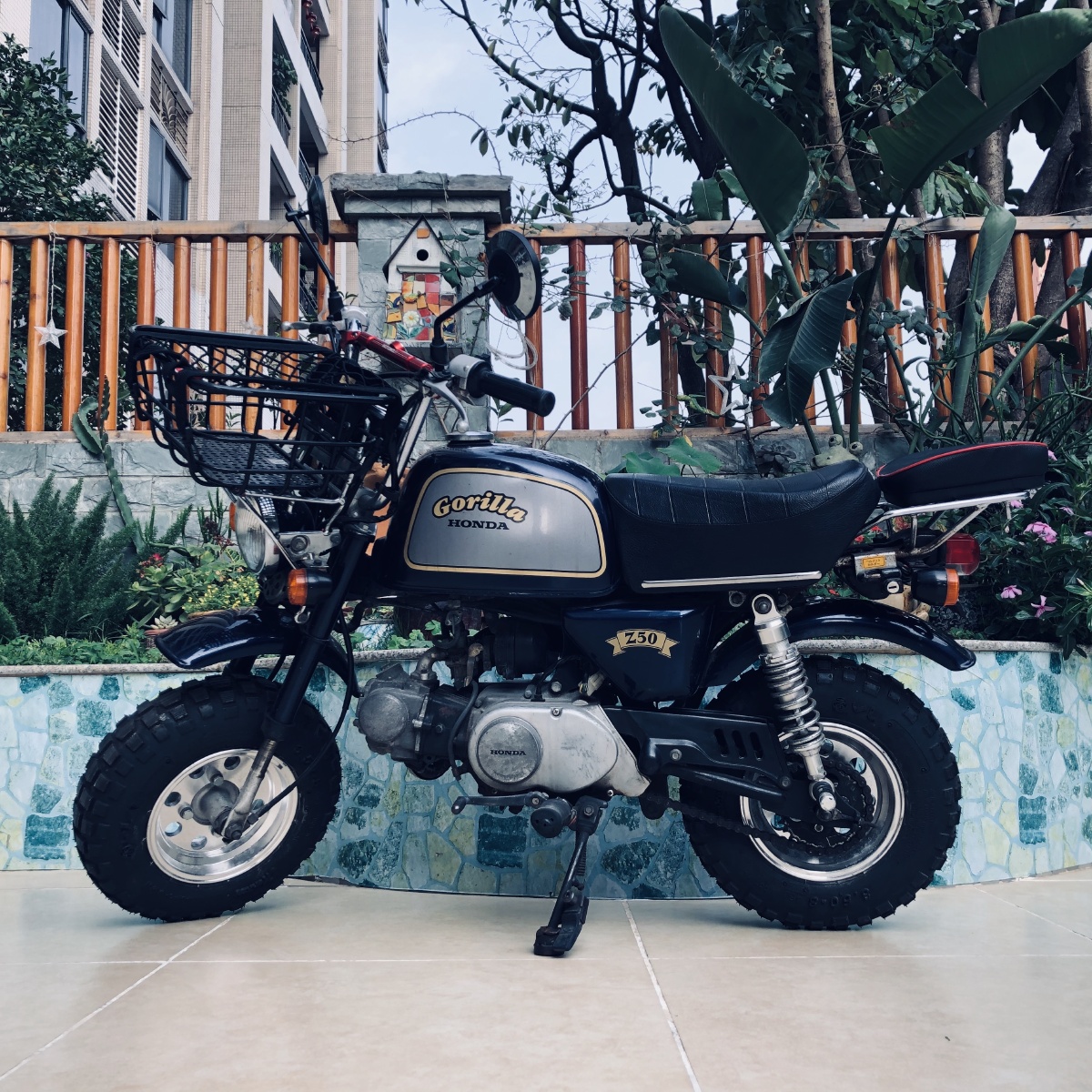 1992年产本田小猴子系列猩猩它的年纪应该比你大吧