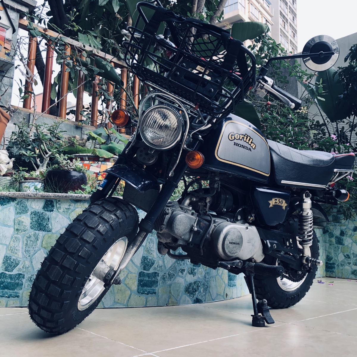 1992年产本田小猴子系列猩猩它的年纪应该比你大吧