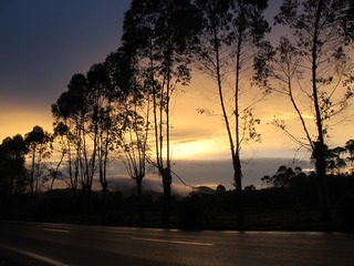 013188DF-FA45-4BE8-88B3-66060D1B1364/L0/001