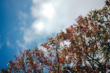 L1002560-2
