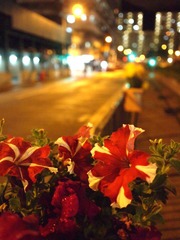 P1010128