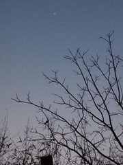 P1011208