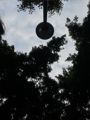 EE3AE01E-09B3-42C2-8E25-F39838A1E891/L0/001