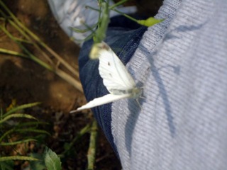 DSC08120.JPG